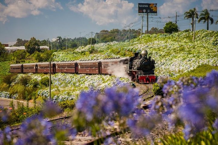 Vinícolas do Sul, Trem Maria Fumaça e Parque Temático Epopeia Italiana