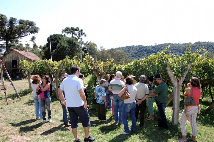 Vinícolas do Sul, Trem Maria Fumaça e Parque Temático Epopeia Italiana
