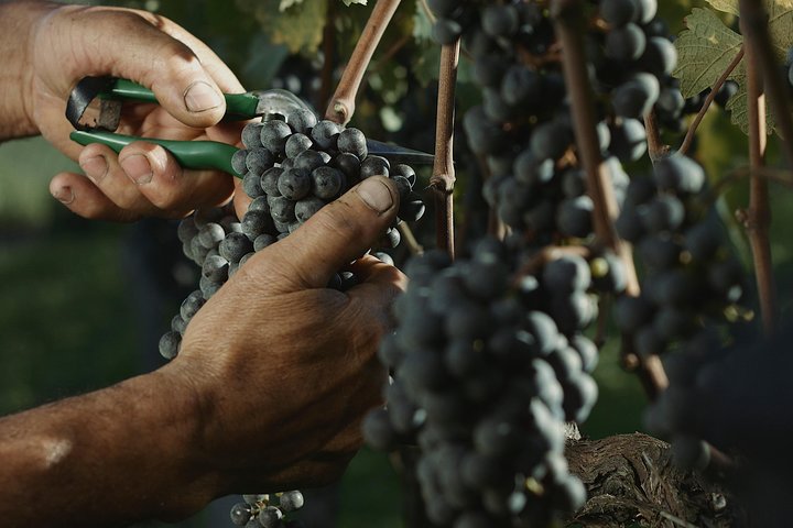 Vinícolas do Sul, Trem Maria Fumaça e Parque Temático Epopeia Italiana