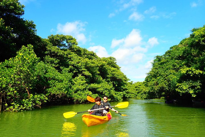 SUP ou canoë dans la mangrove d'Ishigaki + plongée avec tuba dans la Grotte Bleue