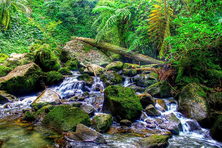 Tour dei laghi gemelli di Dumaguete Casaroro Falls e Balinsasayaw