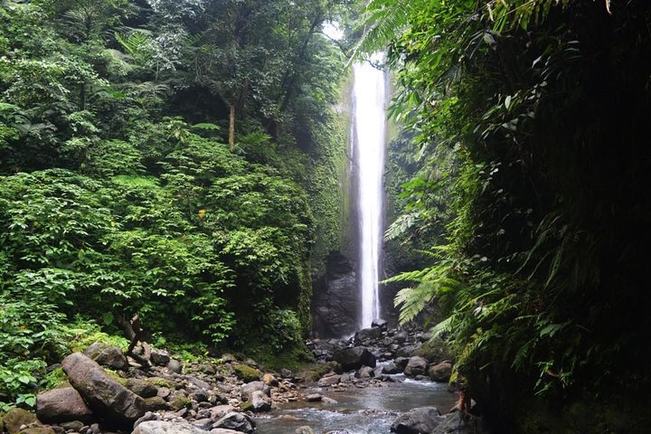 Tour dei laghi gemelli di Dumaguete Casaroro Falls e Balinsasayaw