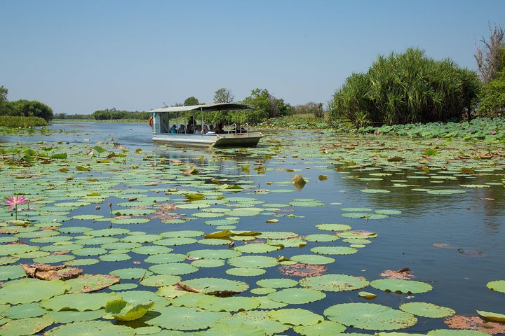 Découverte d'une journée dans les zones humides du Corroboree Billabong, avec une croisière de 2 heures et demie et un déjeuner
