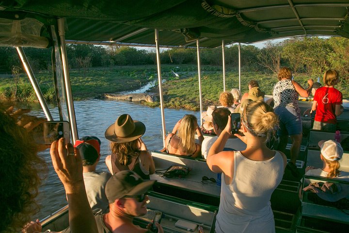 Découverte d'une journée dans les zones humides du Corroboree Billabong, avec une croisière de 2 heures et demie et un déjeuner