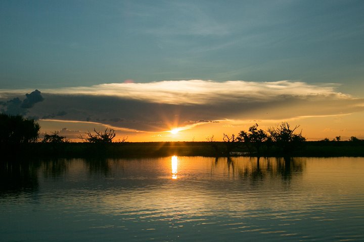 Découverte d'une journée dans les zones humides du Corroboree Billabong, avec une croisière de 2 heures et demie et un déjeuner