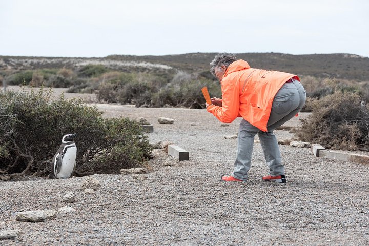 Excursión en crucero por la costa Ea San Lorenzo Península Valdés