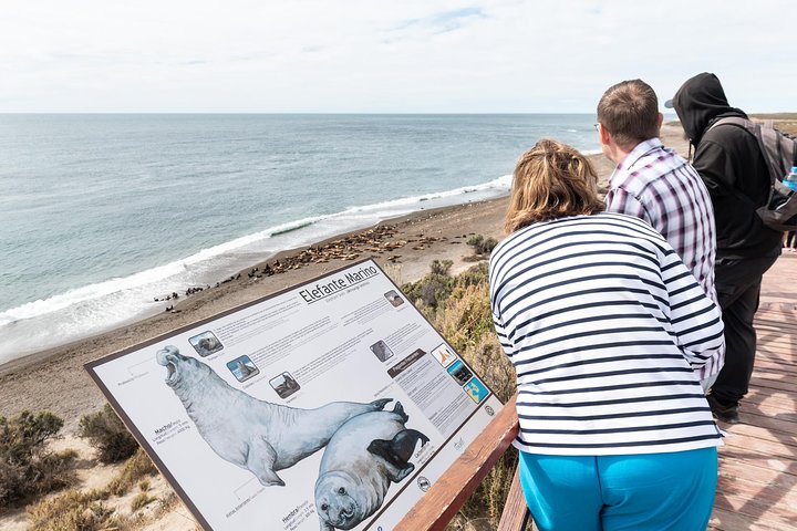 Excursión en crucero por la costa Ea San Lorenzo Península Valdés