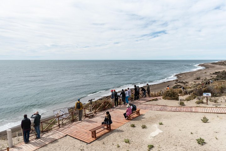 Excursión en crucero por la costa Ea San Lorenzo Península Valdés