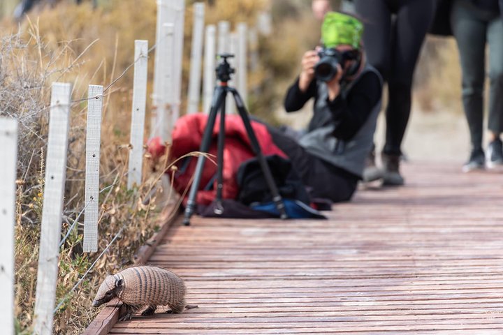 Excursión en crucero por la costa Ea San Lorenzo Península Valdés