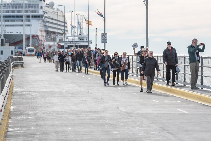 Excursión en crucero por la costa Ea San Lorenzo Península Valdés