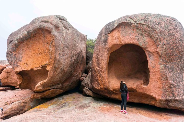Tour di un'intera giornata a Wineglass Bay e Freycinet NP da Hobart via Richmond Village