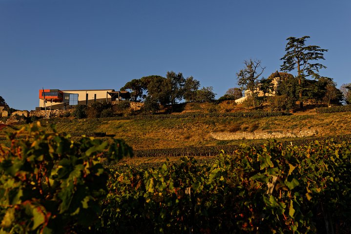 Saint-Emilion Grand Cru Classé: Besøk og smak på fransk