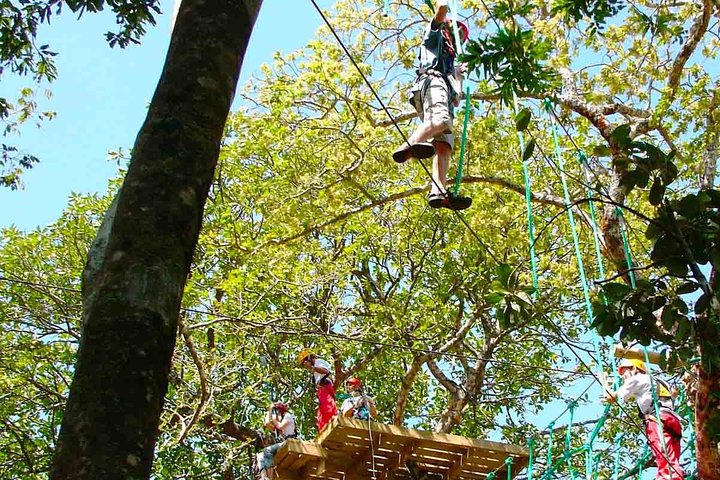 High Ropes Tour på Adventure Park fra San Jose