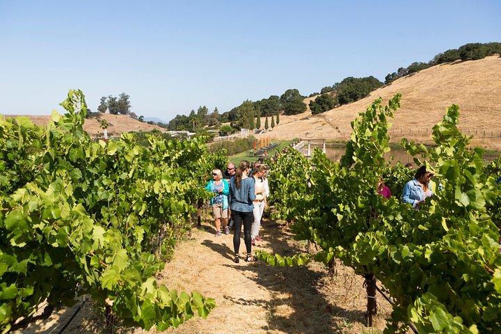 Napa en Sonoma Wine Country dagtour vanuit San Francisco