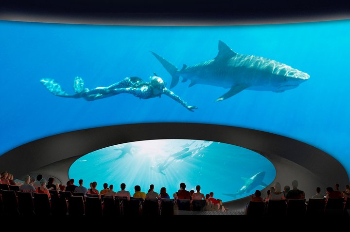 Salta la coda alla biglietteria : biglietto d'ingresso generale dell'Acquario del Pacifico