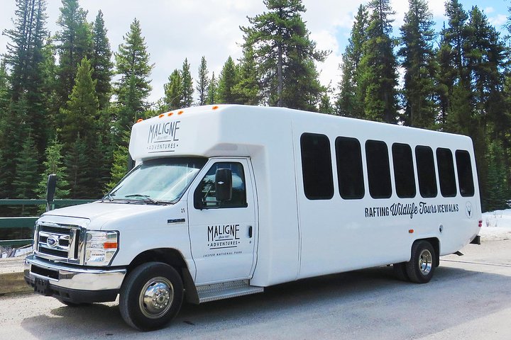 Passeio Jasper Wildlife & Cruzeiro no Lago Maligne com Spirit Island