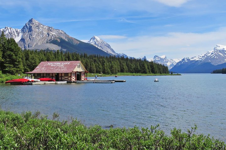 Visite de la faune et des sites touristiques de Jasper avec randonnée au lac Maligne