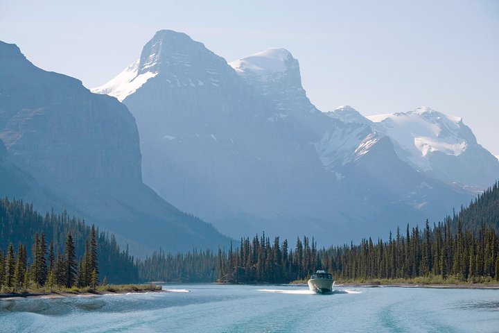 Passeio Jasper Wildlife & Cruzeiro no Lago Maligne com Spirit Island