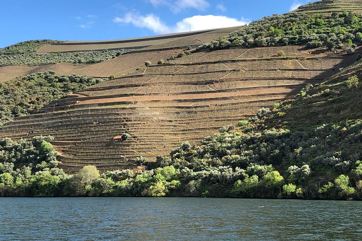Douro Valley privé wijntour | proeverijen en lunch inbegrepen