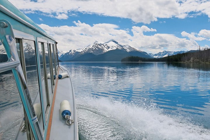 Passeio Jasper Wildlife & Cruzeiro no Lago Maligne com Spirit Island