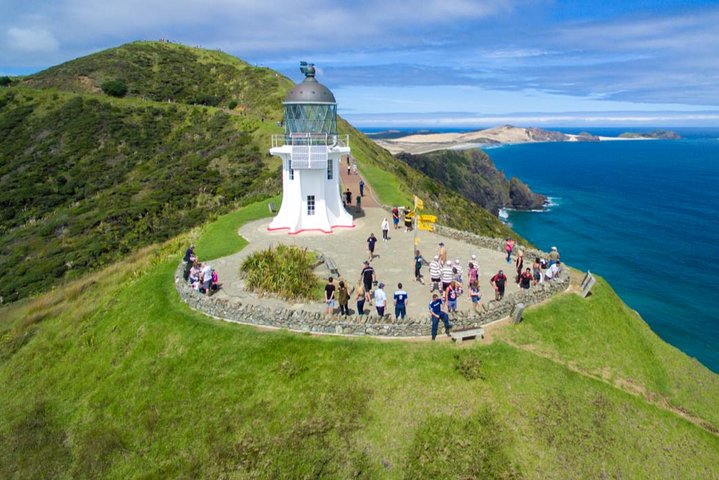 Tour dell'estremo nord della Nuova Zelanda con 90 miglia di spiaggia e Capo Reinga da Paihia