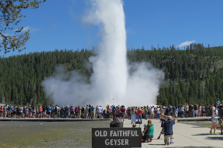 Yellowstone National Park - PRIVATE Ganztages-Rundfahrt von Jackson Hole