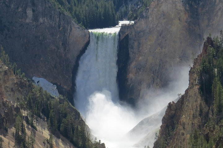 Yellowstone National Park - PRIVATE Ganztages-Rundfahrt von Jackson Hole
