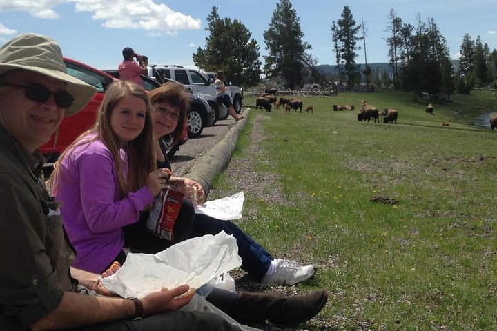 Yellowstone National Park - PRIVATE Ganztages-Rundfahrt von Jackson Hole
