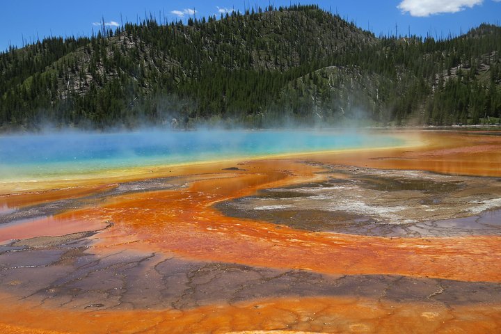 Yellowstone National Park - PRIVATE Ganztages-Rundfahrt von Jackson Hole