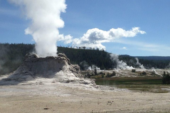 Yellowstone National Park - PRIVATE Ganztages-Rundfahrt von Jackson Hole