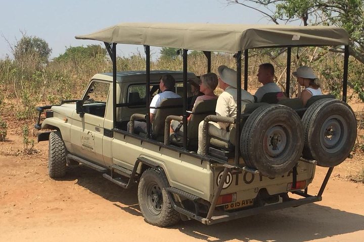 Chobe 3hr Game drive