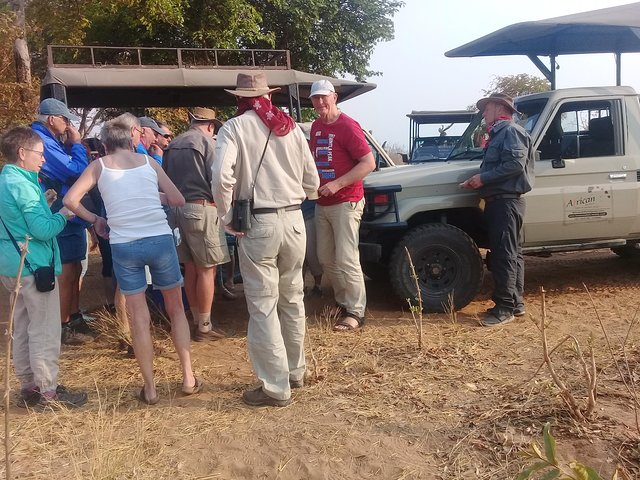 Chobe 3hr Game drive