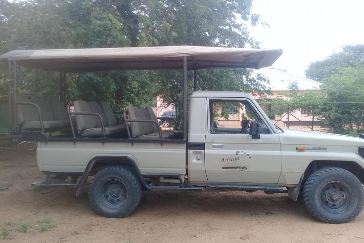 Chobe 3hr Game drive