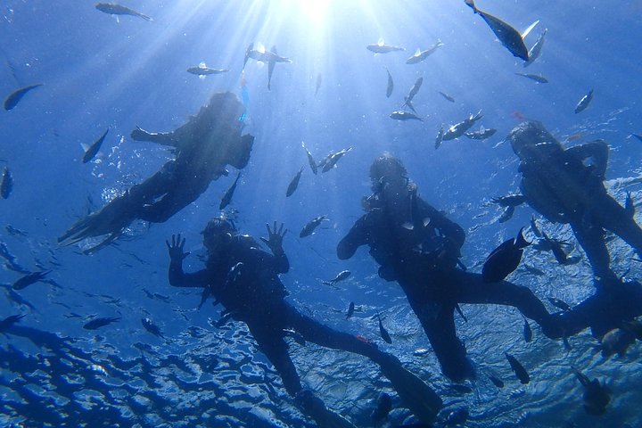 Mergulhe com snorkel na área da caverna azul! [Prefeitura de Okinawa] Alimentação e imagens fotográficas gratuitas!Guia inglês e chinês disponível!