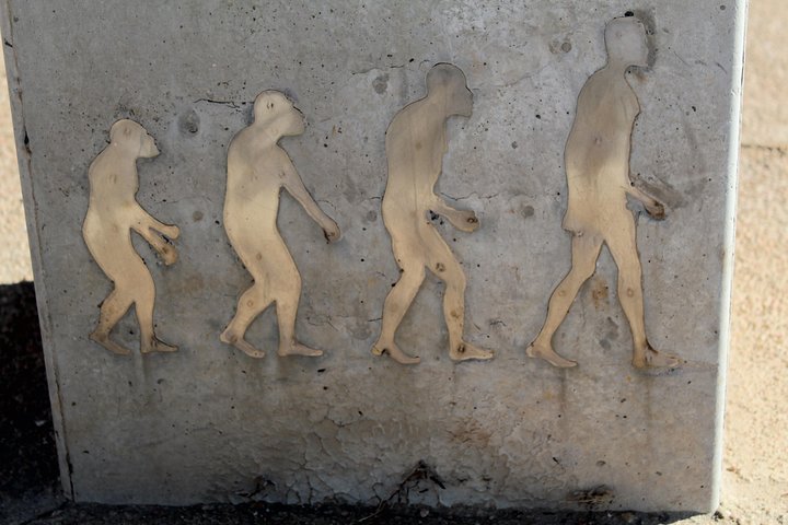 Cradle of Humankind Tour: Sterkfontein-grottene og Maropeng-opplevelsen