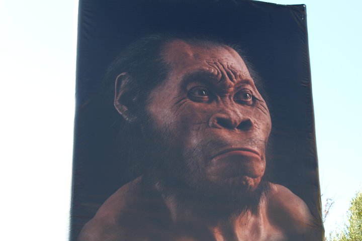 Cradle of Humankind Tour: Sterkfontein-grottene og Maropeng-opplevelsen
