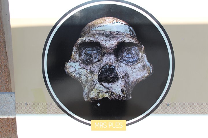 Cradle of Humankind Tour: Sterkfontein-grottene og Maropeng-opplevelsen