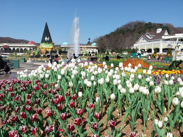 EVERLAND "Dall'hotel all'hotel" [Tour privato premium: solo un gruppo per te]