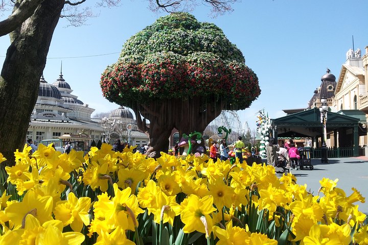 EVERLAND "Dall'hotel all'hotel" [Tour privato premium: solo un gruppo per te]