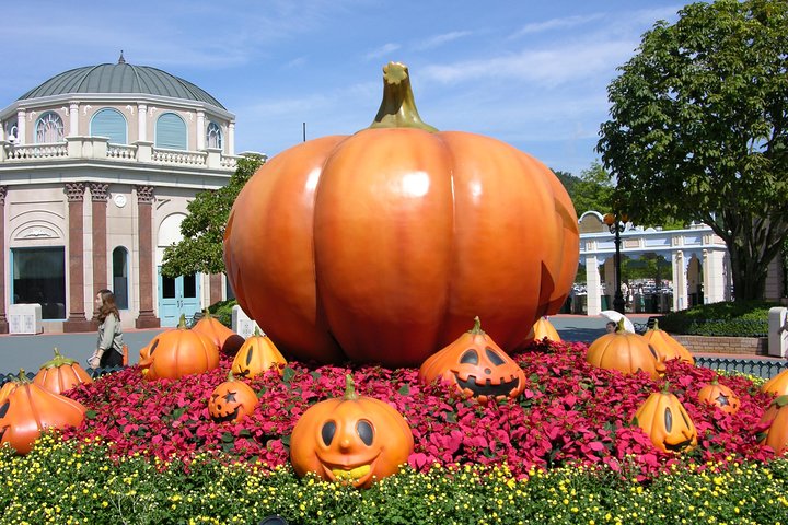 EVERLAND "Dall'hotel all'hotel" [Tour privato premium: solo un gruppo per te]