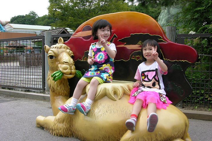 EVERLAND "Dall'hotel all'hotel" [Tour privato premium: solo un gruppo per te]