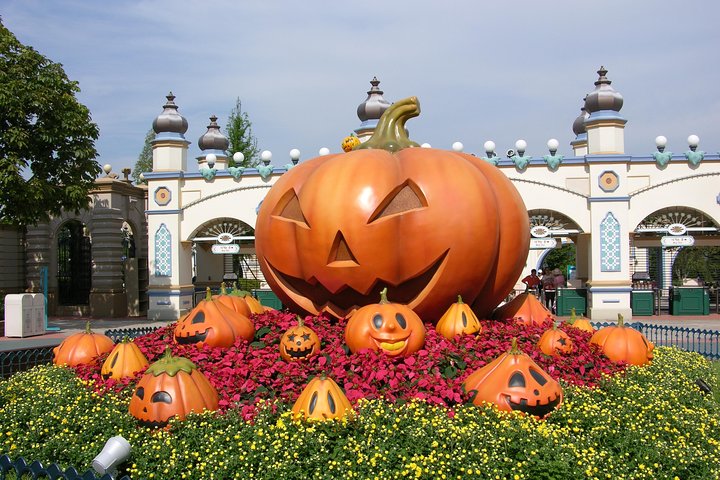 EVERLAND "Dall'hotel all'hotel" [Tour privato premium: solo un gruppo per te]