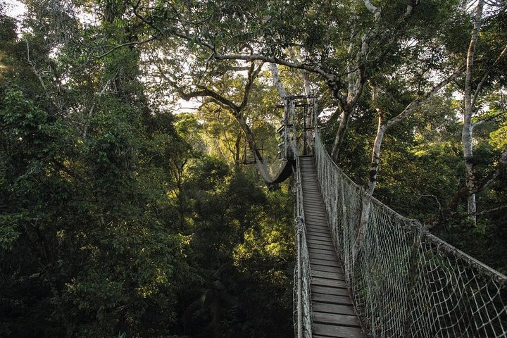 3-Day Tambopata Amazon Jungle Tour at Inkaterra Reserva Amazónica