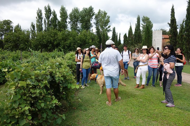 Vintur Privado a Colonia Caroya, Córdoba - Argentina