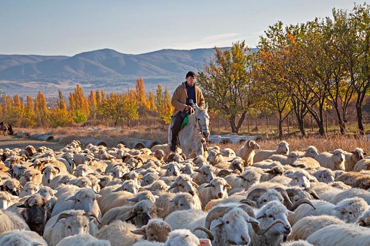 Kakheti Wine Region Tour + 10 Premium Wine Tastings & Sunset