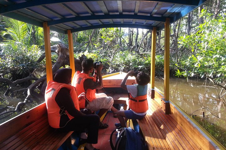 Private Proboscis Monkey Tour