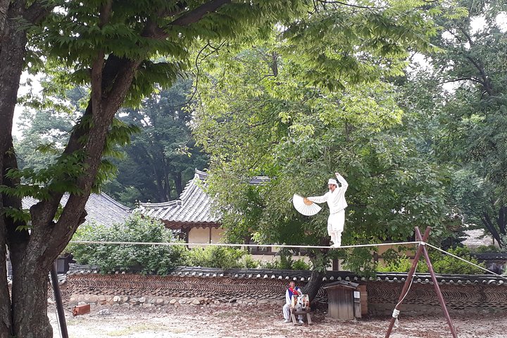 Everland Theme Park & Korean Folk Village tour (privat gruppe)
