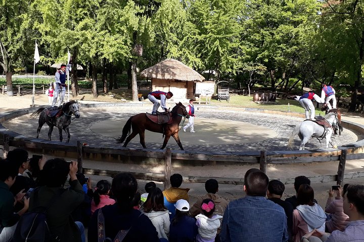 Everland Theme Park & Korean Folk Village tour (privat gruppe)