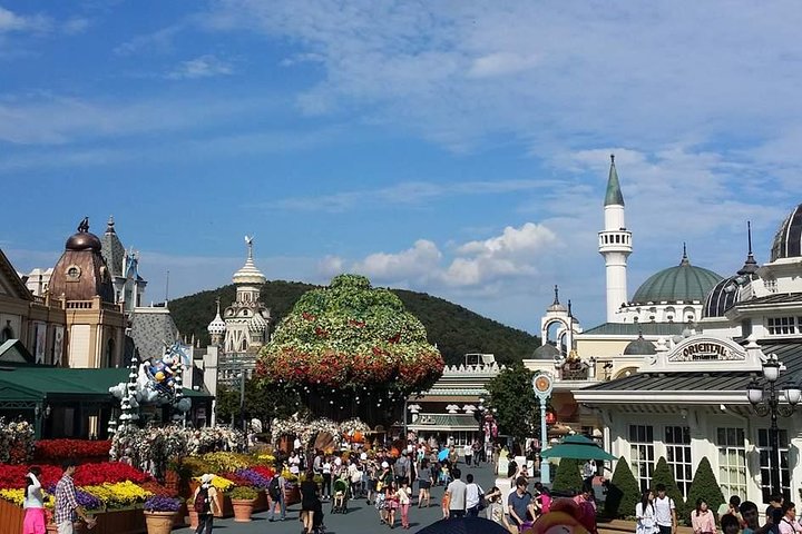 Everland Theme Park & Korean Folk Village tour (privat gruppe)