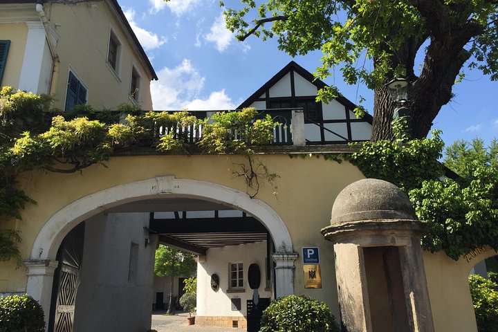 Descubra os melhores vinhos vermelhos e risling seco da Alemanha no Pfalz